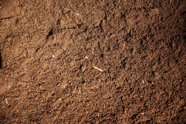 Image of product Veggie Mix Soil