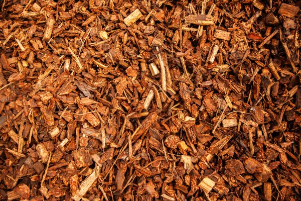 Image of the product Bark Nuggets